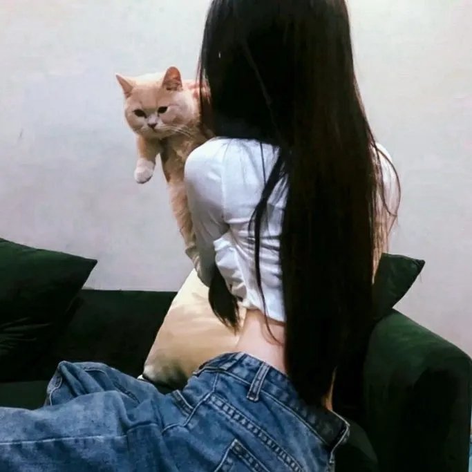 赤子情